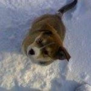 Meet your Posher, Robyn